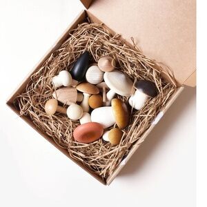 Moon Picnic - Wood Forest Mushrooms in a Box Toy